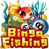 Câu Cá Bingo 13wi