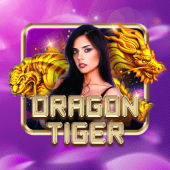 Rồng Hổ 13wi