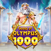 Cổng Olympus 1000 13wi